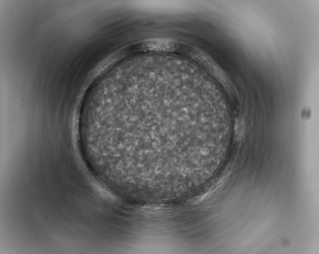 X0000101950725200808151252