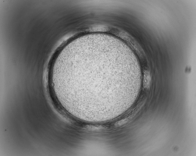 X0000101950726200808151252