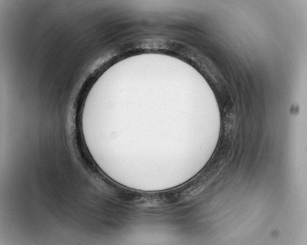 X0000101950727200808151252