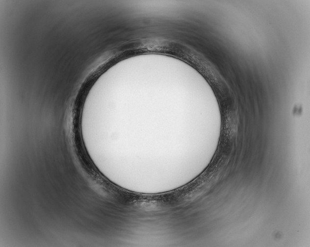 X0000101950730200808151252