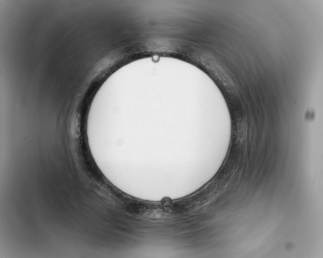X0000101950731200808151252