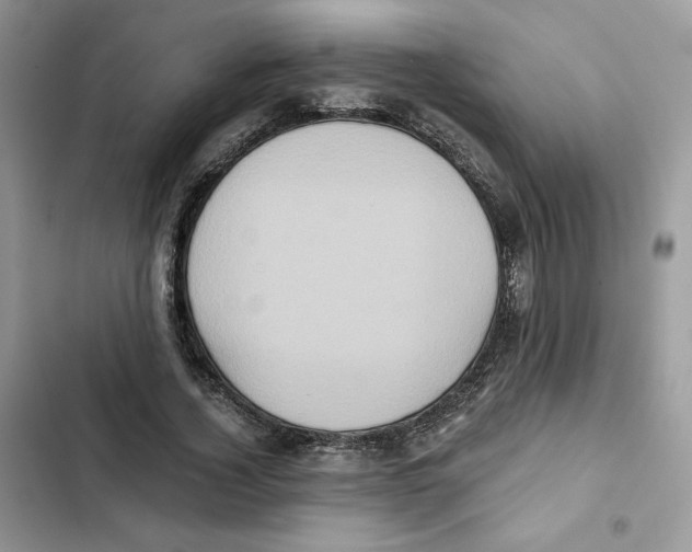 X0000101950732200808151252