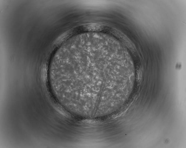 X0000101950733200808151252