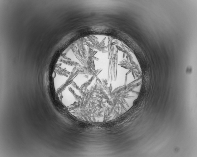 X0000101950734200808151252