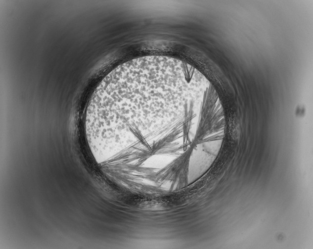 X0000101950735200808151252