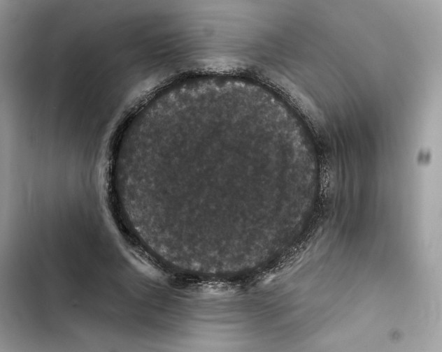 X0000101950736200808151252