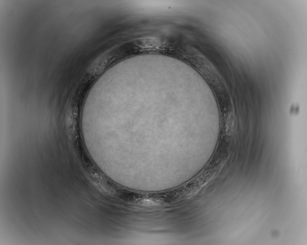 X0000101950737200808151252