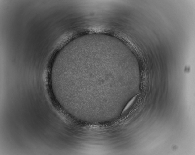 X0000101950738200808151252