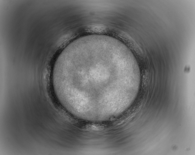 X0000101950739200808151252