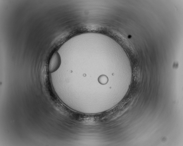 X0000101950740200808151252