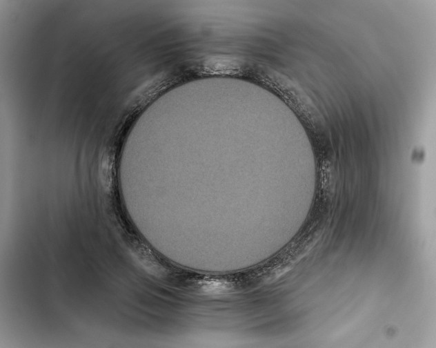 X0000101950741200808151252