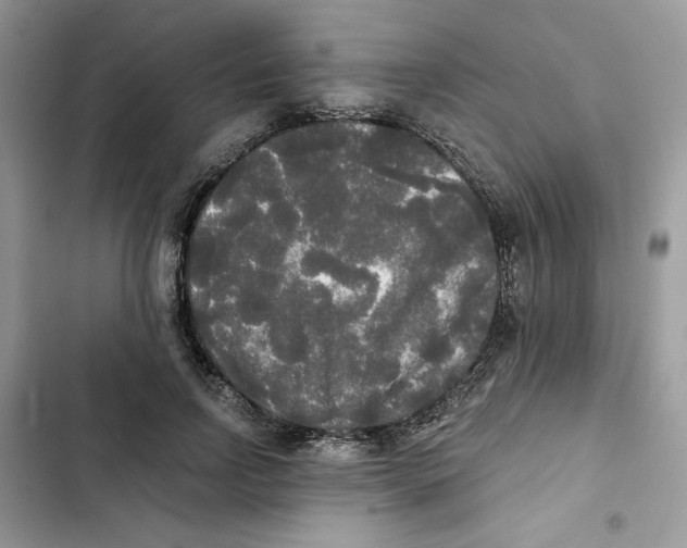 X0000101950742200808151252
