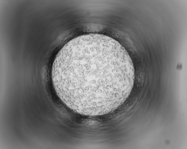 X0000101950743200808151252