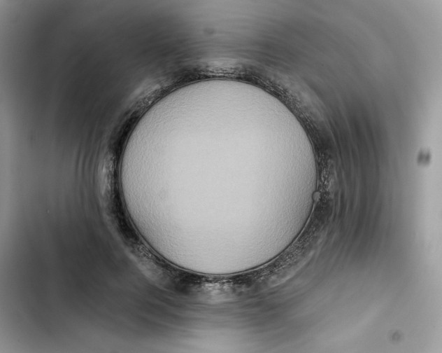 X0000101950744200808151252