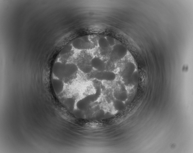 X0000101950745200808151252