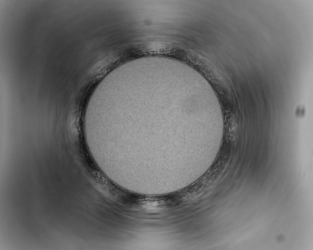X0000101950746200808151252