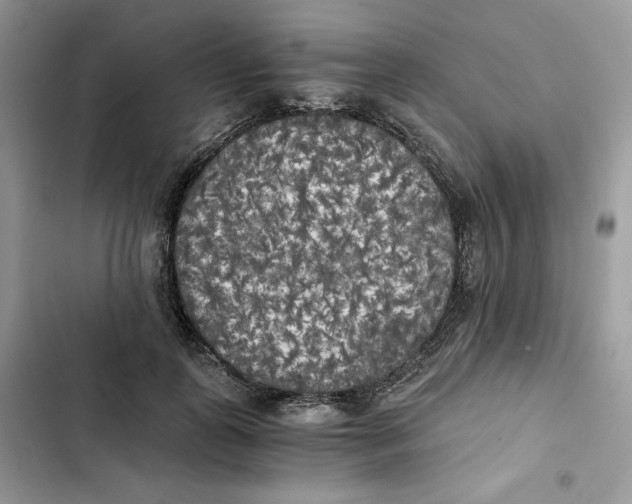X0000101950747200808151252