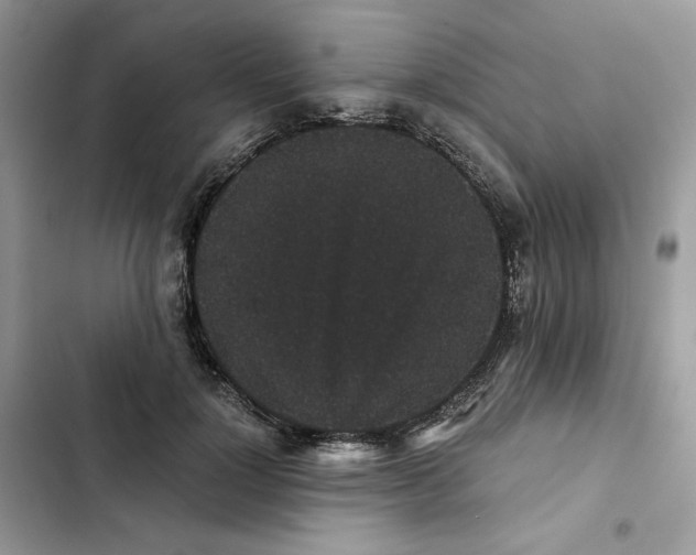 X0000101950748200808151252