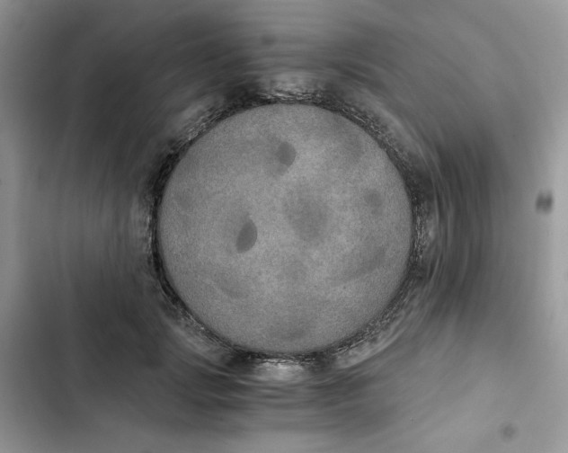 X0000101950749200808151252