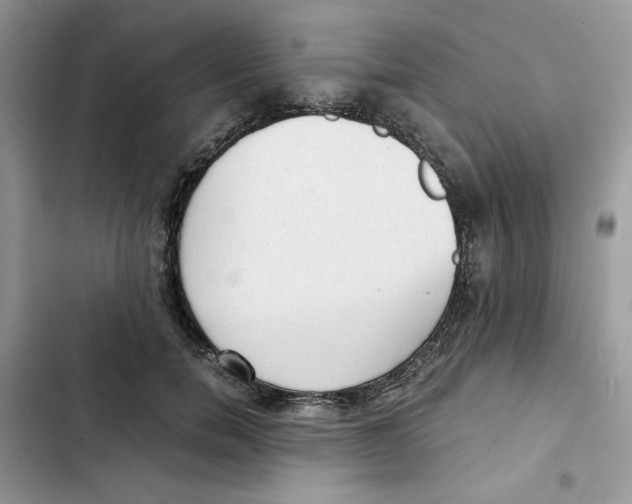 X0000101950750200808151252