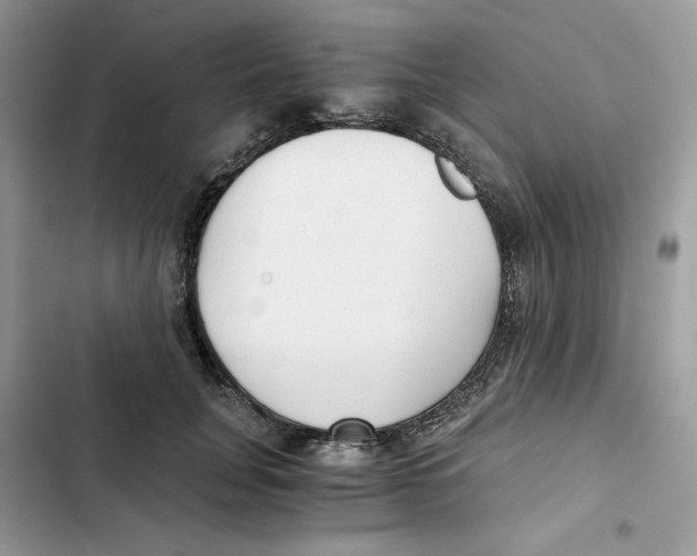 X0000101950751200808151252