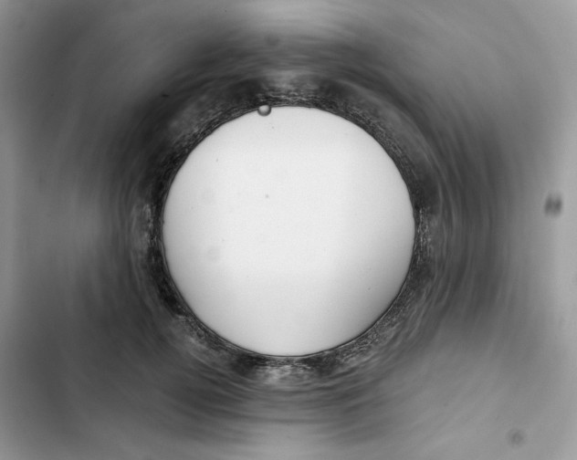 X0000101950752200808151252