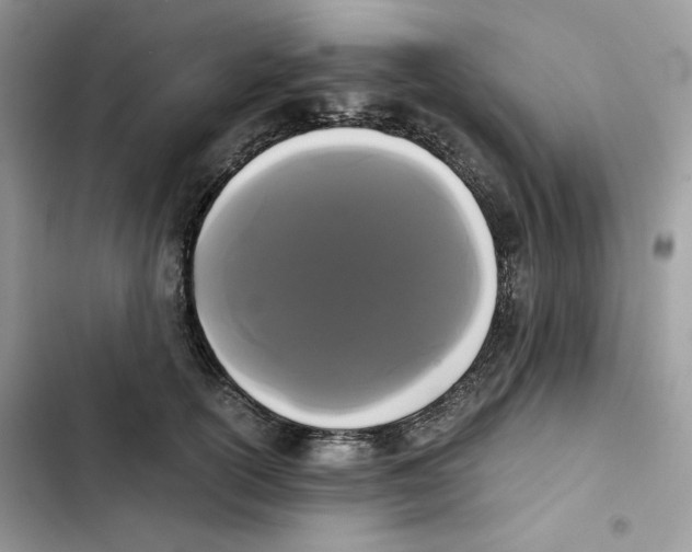 X0000101950754200808151252