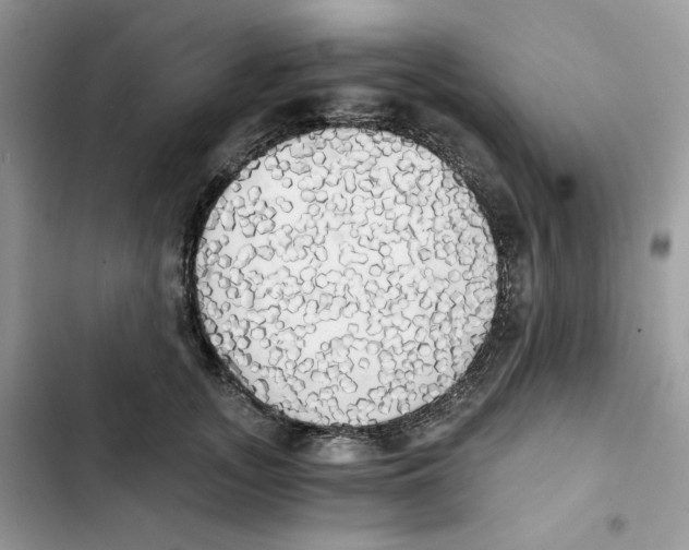 X0000101950755200808151252