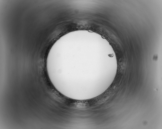 X0000101950756200808151252