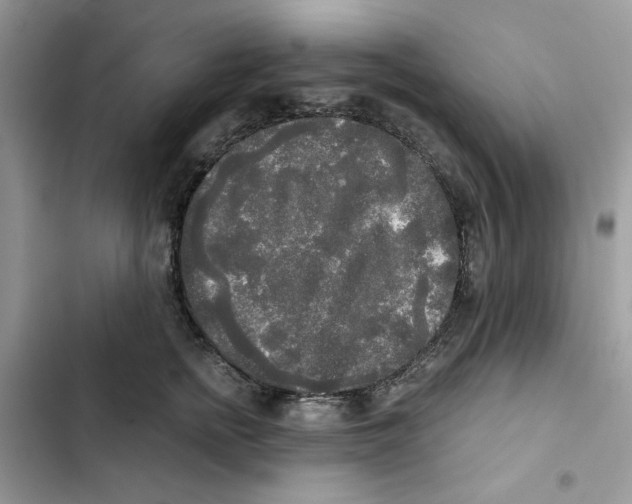 X0000101950758200808151252