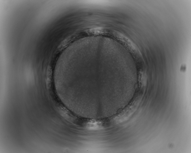X0000101950760200808151252