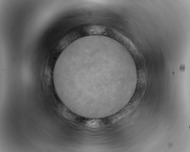 X0000101950761200808151252
