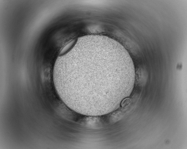 X0000101950762200808151252