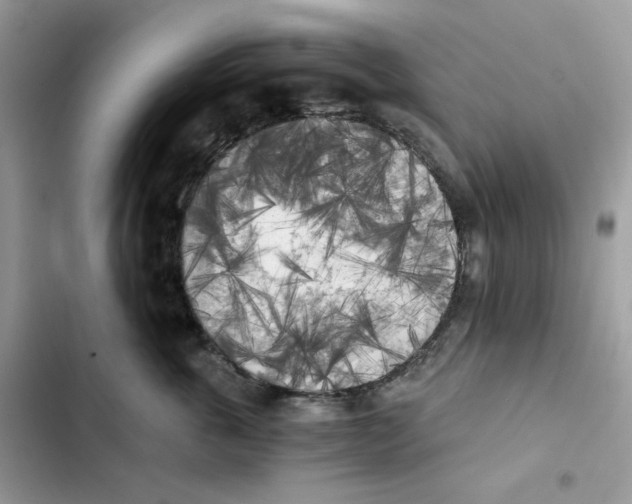 X0000101950763200808151252