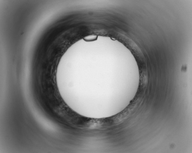 X0000101950764200808151252