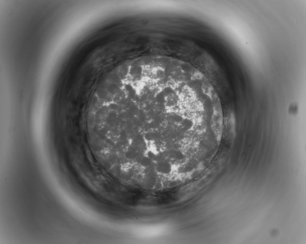 X0000101950765200808151252