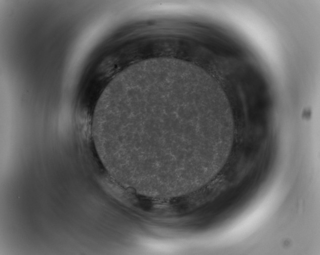 X0000101950766200808151252