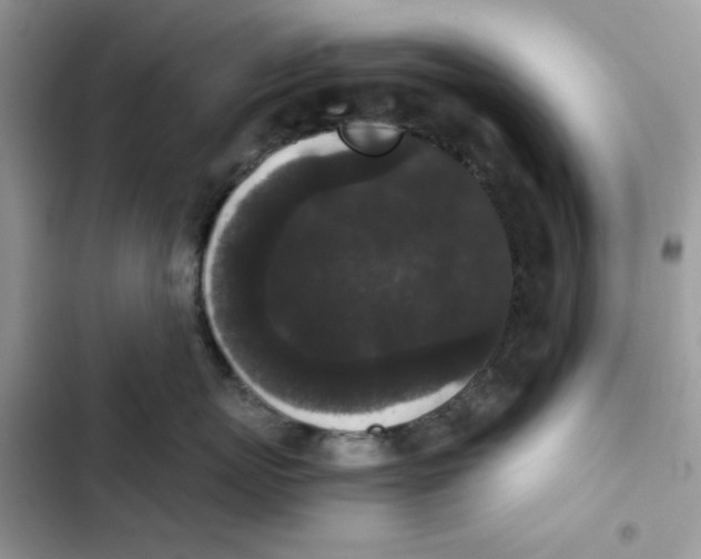 X0000101950767200808151252