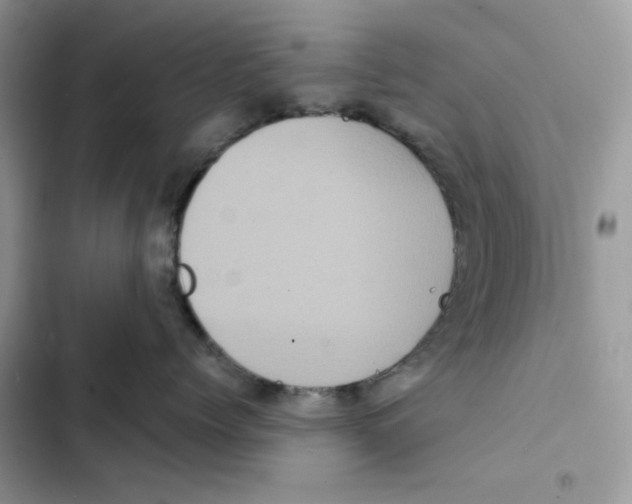 X0000101950768200808151252