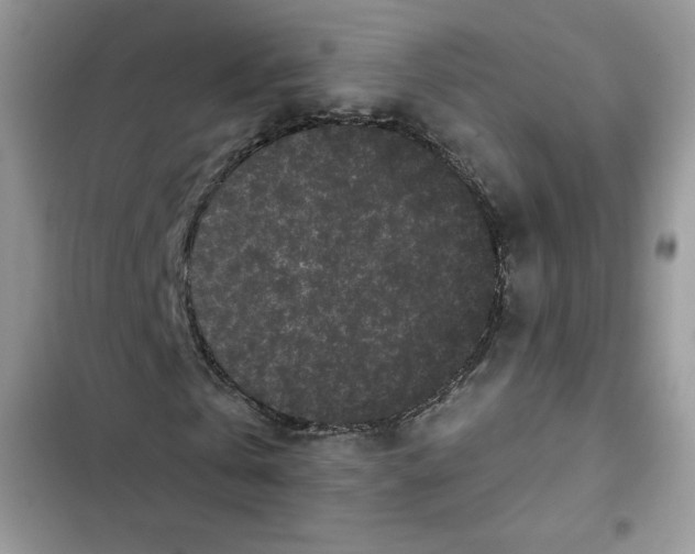 X0000101950769200808151252