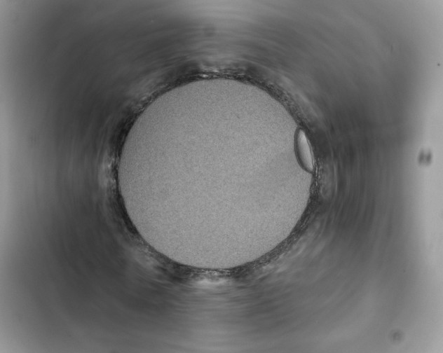 X0000101950770200808151252