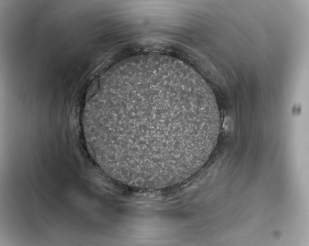 X0000101950771200808151252