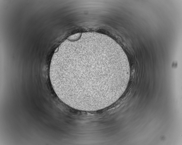 X0000101950772200808151252