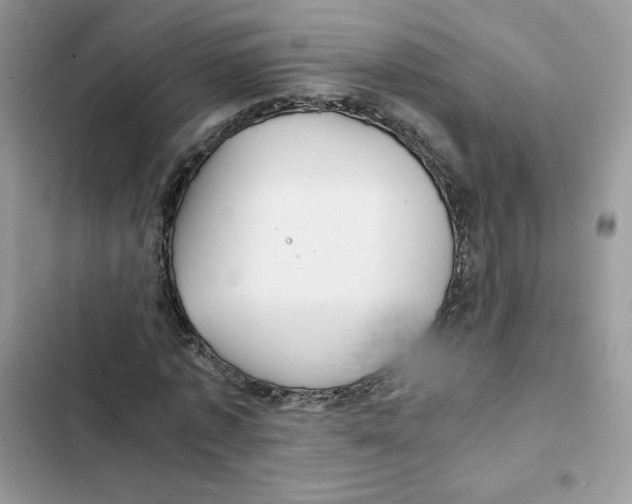 X0000101950773200808151252