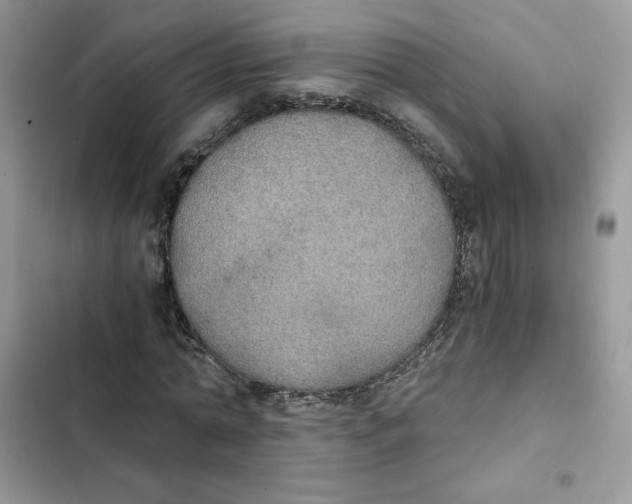 X0000101950774200808151252