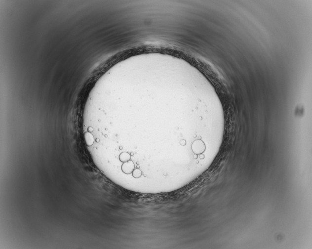 X0000101950776200808151252