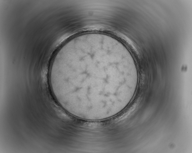 X0000101950778200808151252