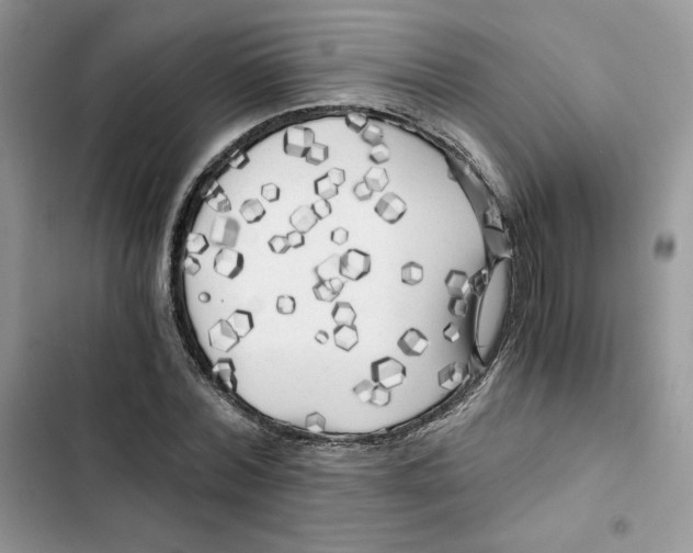 X0000101950780200808151252