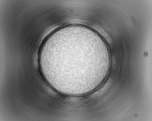 X0000101950782200808151252