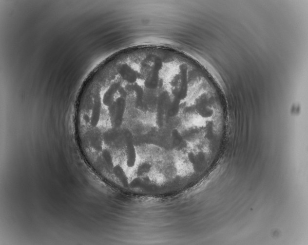 X0000101950783200808151252